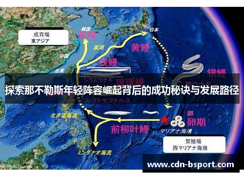 探索那不勒斯年轻阵容崛起背后的成功秘诀与发展路径