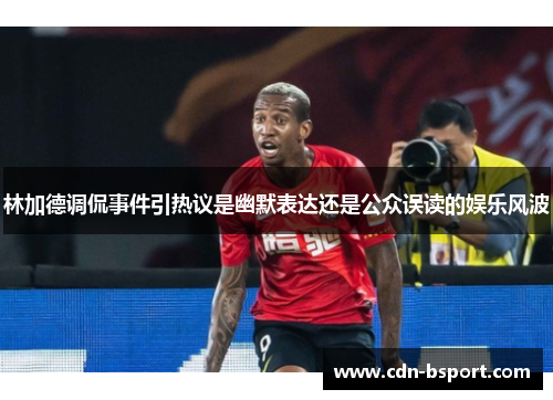 林加德调侃事件引热议是幽默表达还是公众误读的娱乐风波