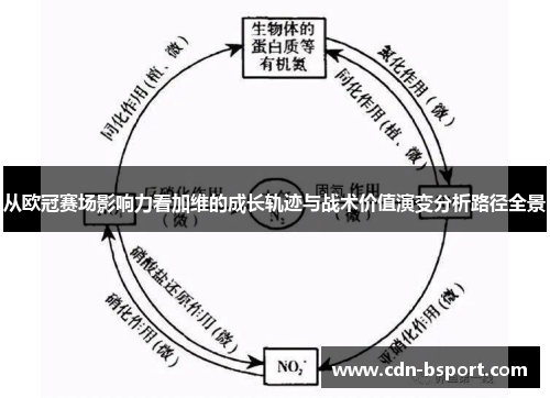 从欧冠赛场影响力看加维的成长轨迹与战术价值演变分析路径全景 从欧冠赛场影响力看加维的成长轨迹与战术价值演变分析路径全景