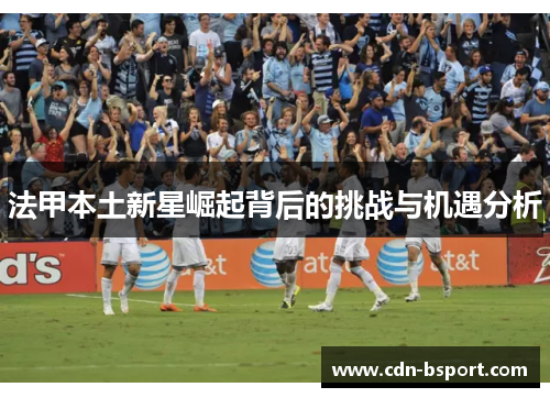 法甲本土新星崛起背后的挑战与机遇分析