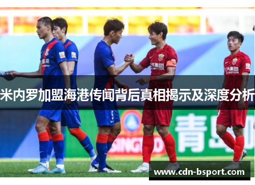 米内罗加盟海港传闻背后真相揭示及深度分析